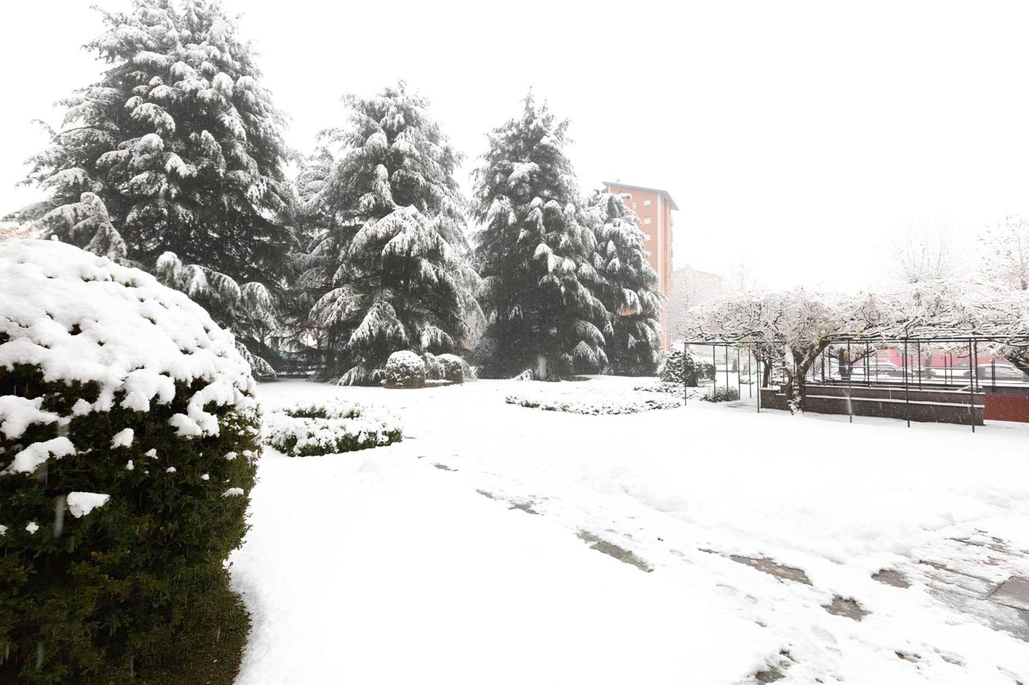 I Cedri Apartman Torino Kültér fotó